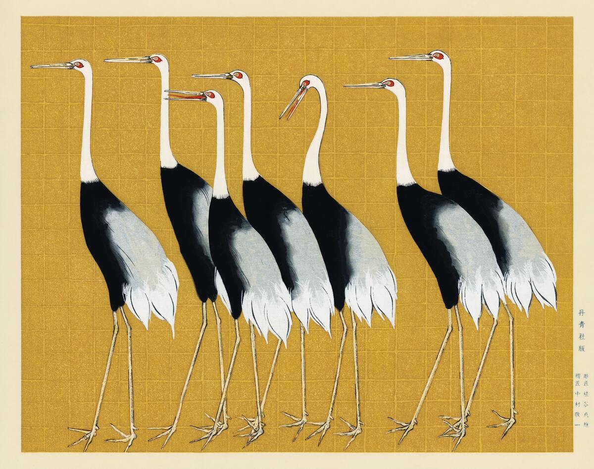 Portrait of a Flock of Beautiful Japanese Red Crown Crane ca 1700