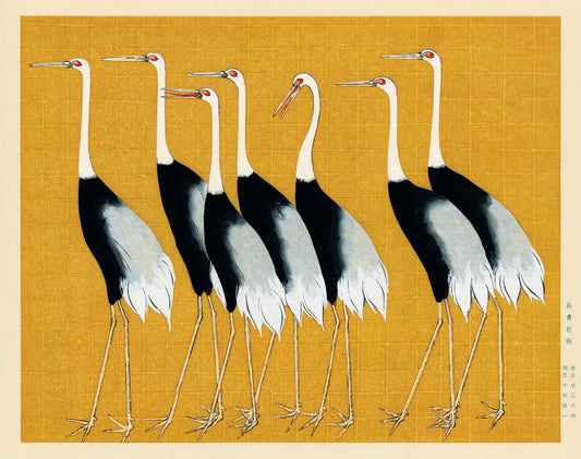 Portrait of a Flock of Beautiful Japanese Red Crown Crane ca 1700