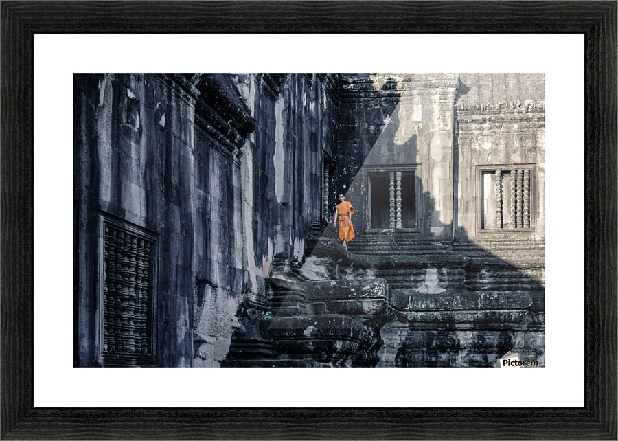 Framed Print